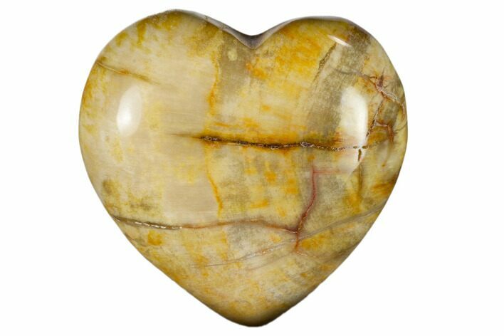 Polished, Triassic Petrified Wood Heart - Madagascar #115504